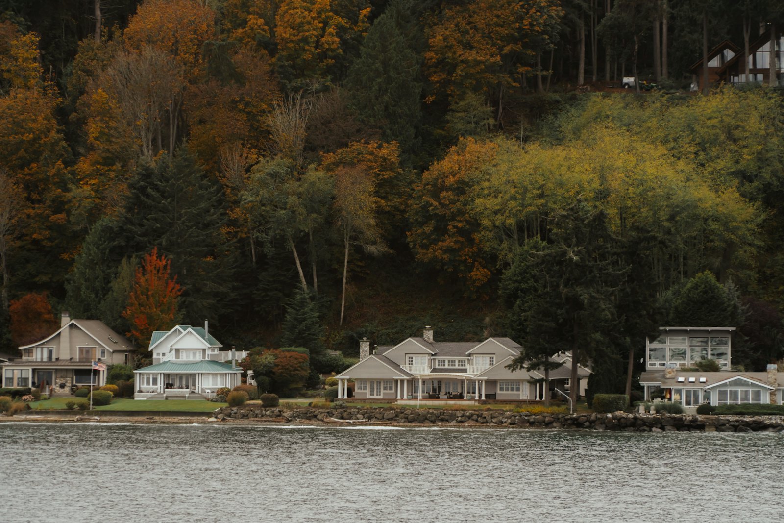 Row of homes along a lakeshore below autumn trees