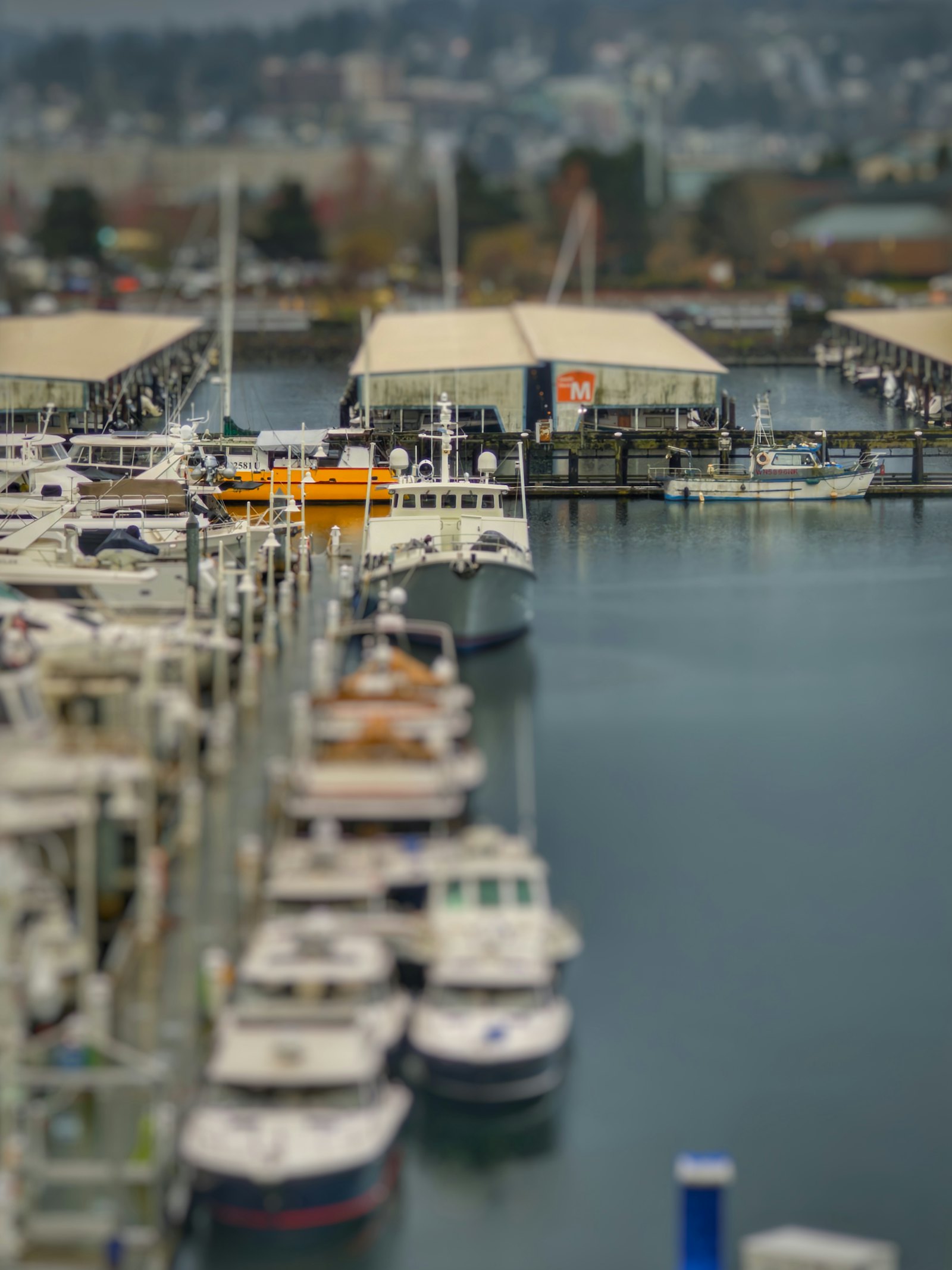 Boats docked in a calm harbor on a cloudy day