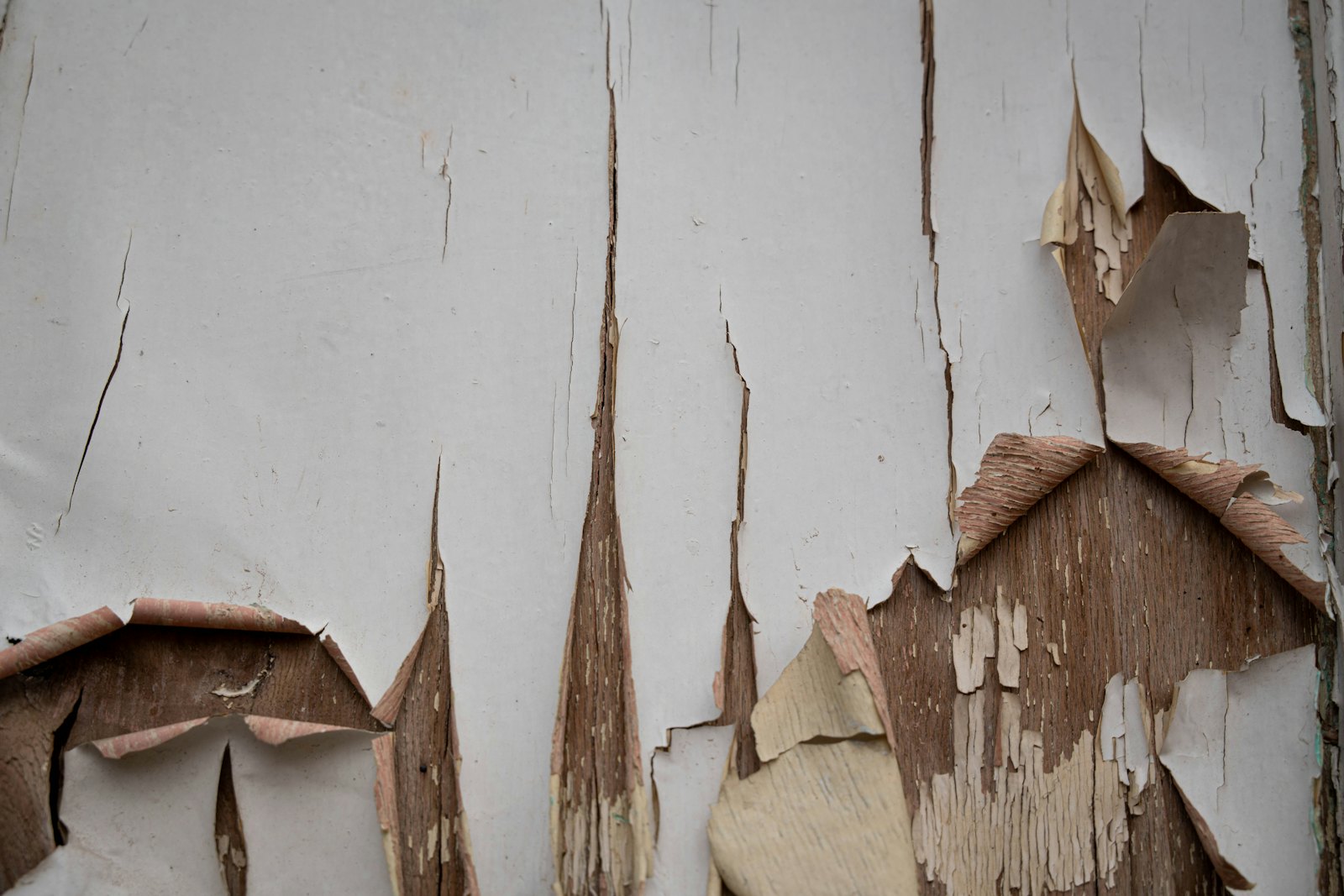 Peeling white paint on weathered wooden siding