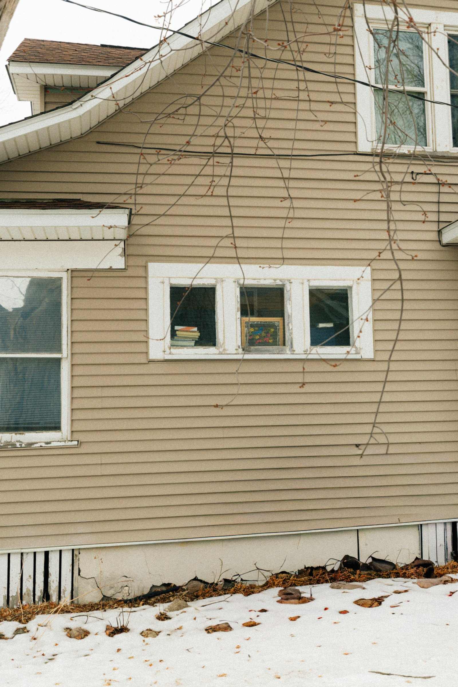 Tan lap siding with white window trim