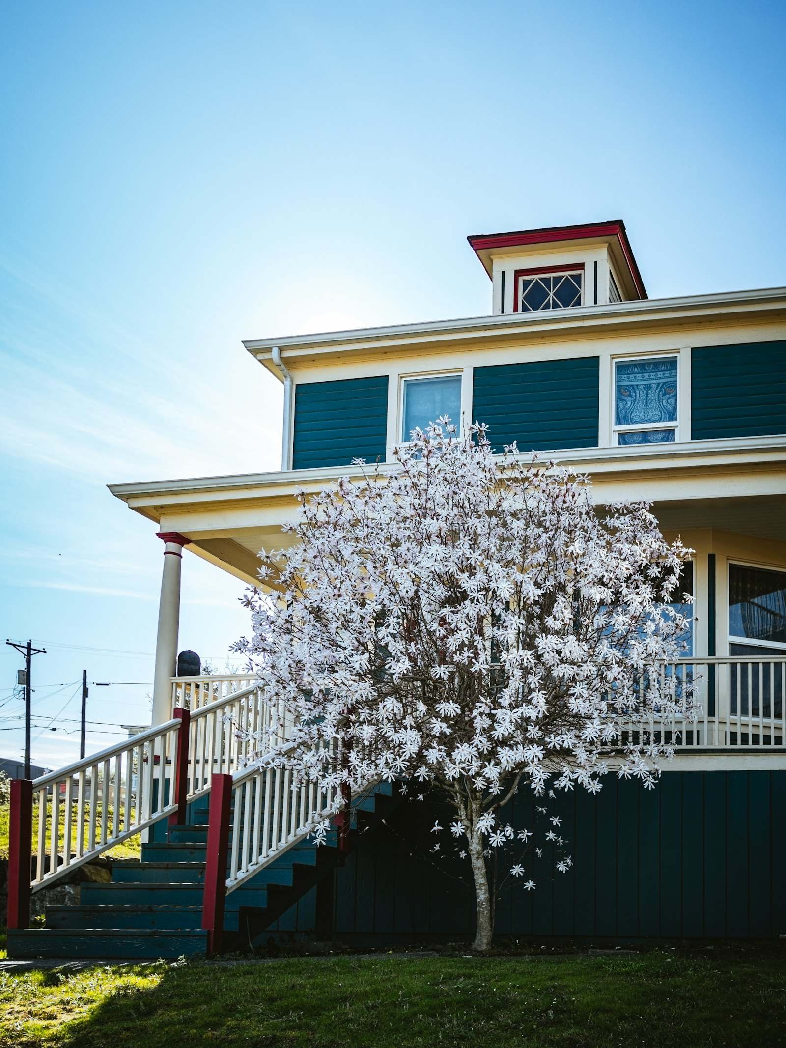 Teal and cream two-story house behind a flowering magnolia