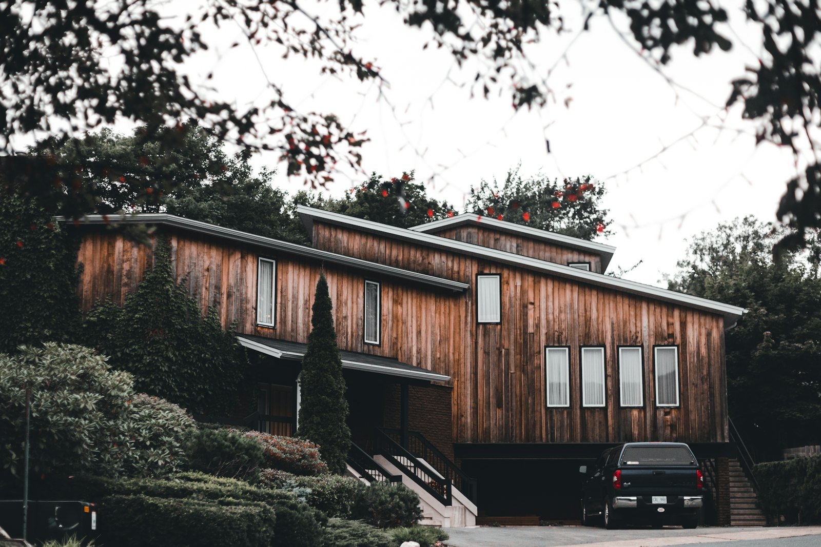 Wood-sided house among green trees