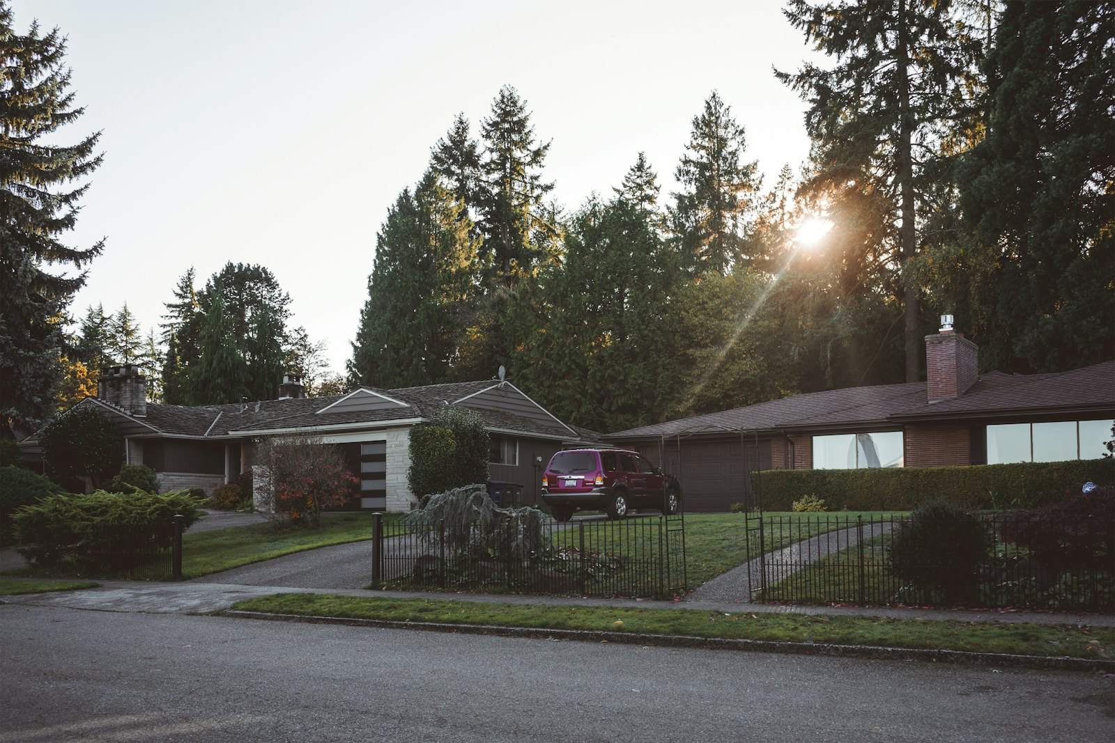 Mid-century ranch homes along a quiet tree-lined street at golden hour