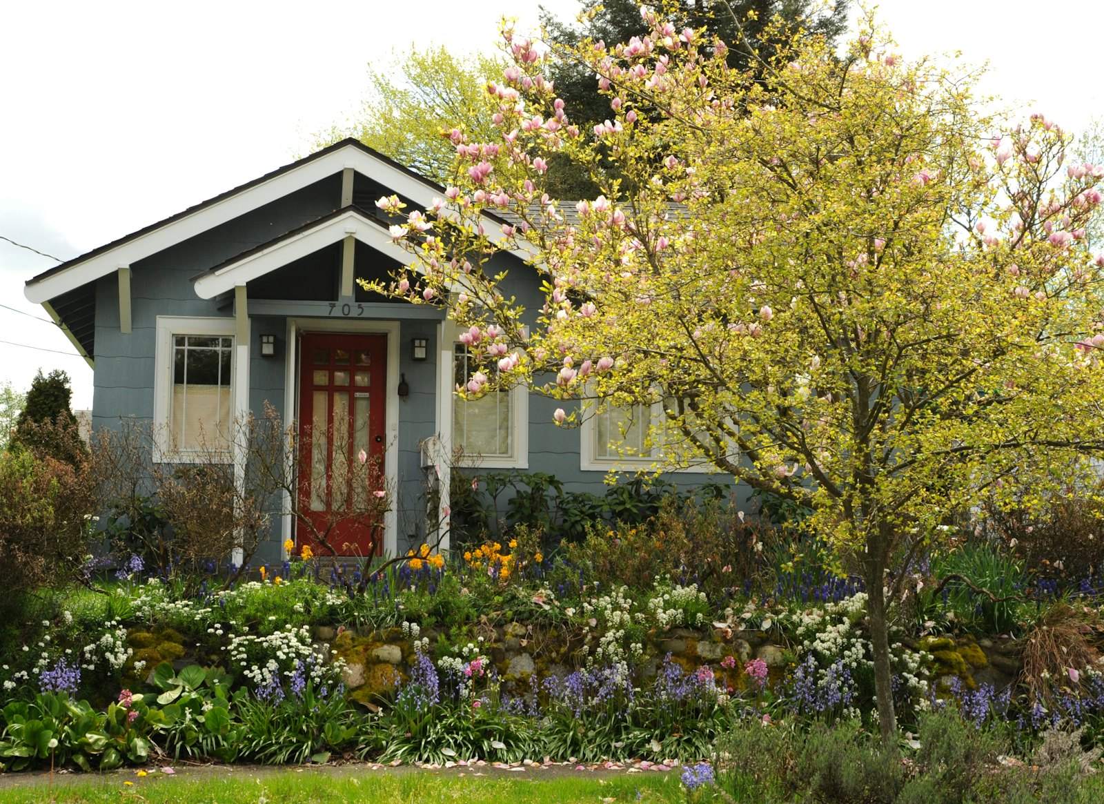 Craftsman bungalow with gray siding, white trim and a red front door behind a spring garden
